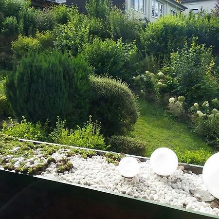 Ferienwohnung Am Paradies Bad Lauterberg Szoba fotó